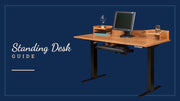 Standing Desk Guide