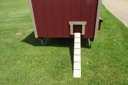 Amish Urban Chicken Coop Kit