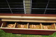 Amish Urban Chicken Coop Kit